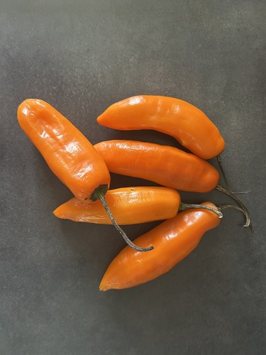Graines piment aji amarillo - graines,