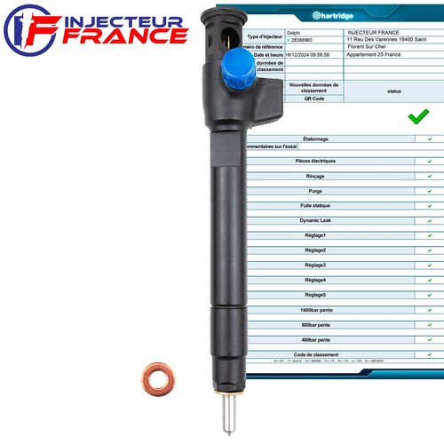 9674984080 delphi injecteur - delphi,