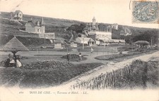 80-CISE WOOD-Terrace and
