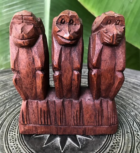 Singes la sagesse - 3,