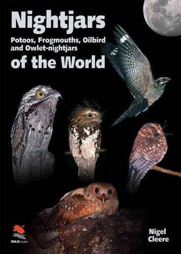 Nigel cleere nightjars - nigel,