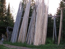 Hand Crafted Tipi Poles