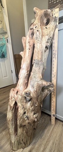 Driftwood cedar big heavy - driftwood,