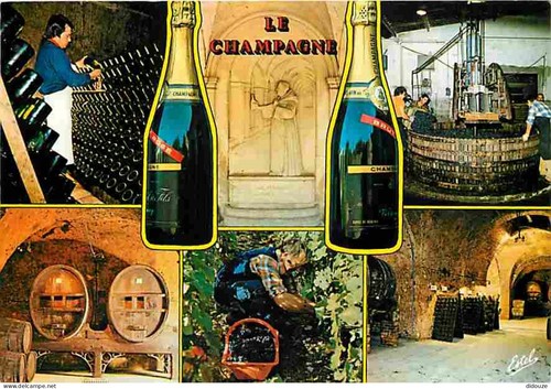 Carte postale vignes - carte,