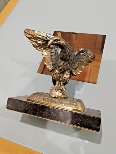 Statut aigle rapace regule