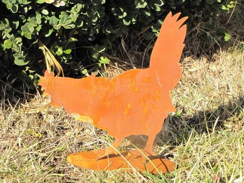 Poule rouille noble christa - rouille,