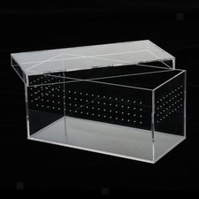 Arylic Reptile & Amphibian Terrarium Box Pour Serpents Lézards Tortues