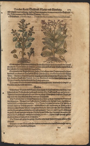 1590 planche gravure - 1590,