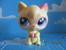 PETSHOP KITTEN N°2512 