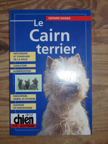 Cairn terrier sasias - terrier.,