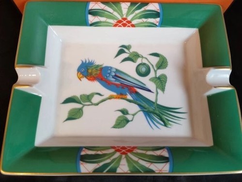 Hermes parrot toucan - parrot,