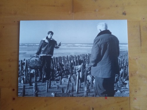 Carte postale singe en - un,