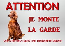 plaque chien de garde setter
