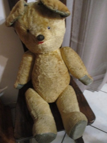 Ours ancien - ours,