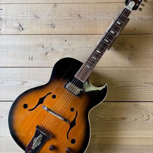 Nardan 120 pick guitar - no.120,
