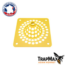 TrapMax AsianHornet – Piège