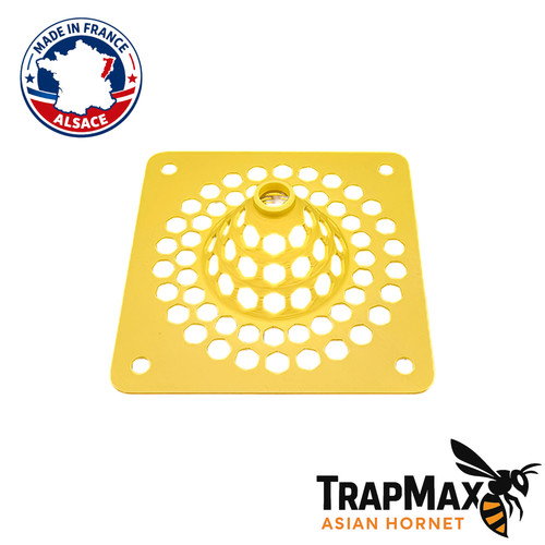 Trapmax asianhornet piège - trapmax,
