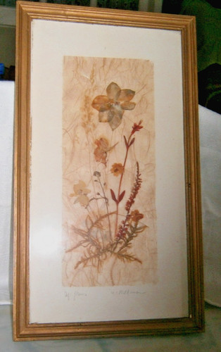 Planche herbier fleurs - herbier,