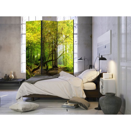 Paravent volets forest - paravent, 3