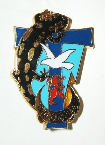 Insigne division salamandre - division,