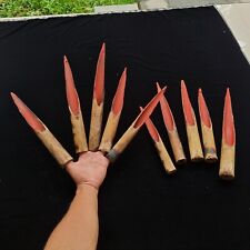 Asmat Bamboo Asaro Claws Set Papua New Guinea Mudmen Headhunter Tribal Art 10pc