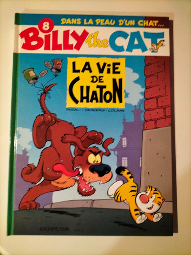 2003 billy the cat - billy, t