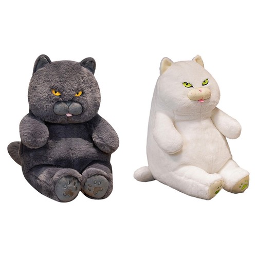 Chat peluche british - chat, en