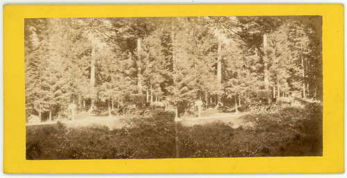 Stereo france calèche - france,, à