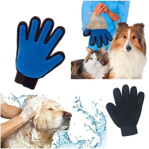 Neuf animal chien chat - chien, gant