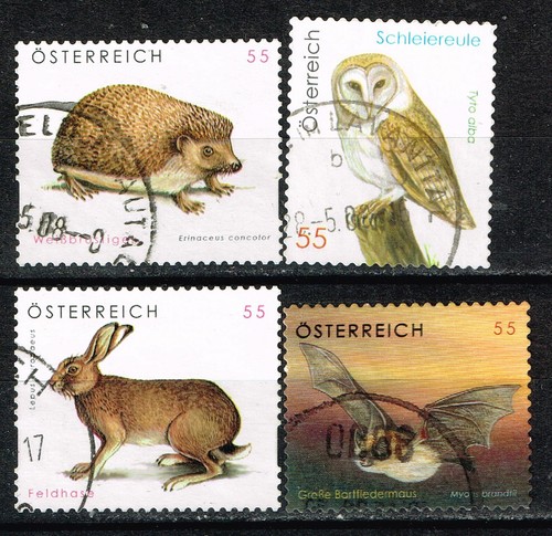 Austria fauna wild forest - austria,