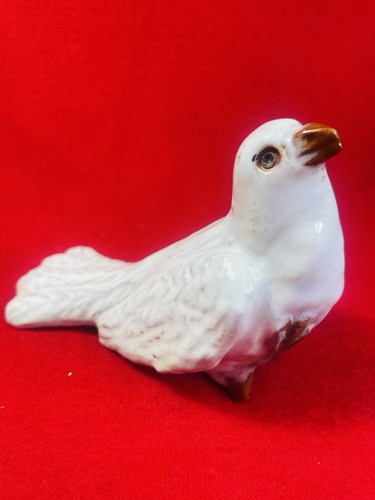 Ancien pigeon bavent - ancien,