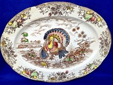 Vintage COLORFUL Turkey Meat