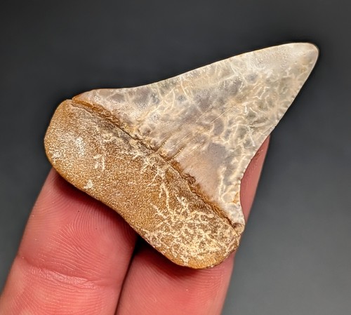 Rare lightning strike - rare, 1.7"