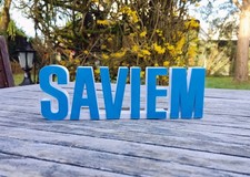 Logo SAVIEM
