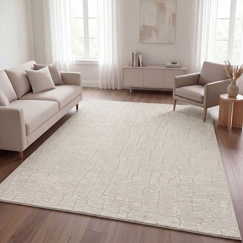 Tapis salon chambre - tapis,
