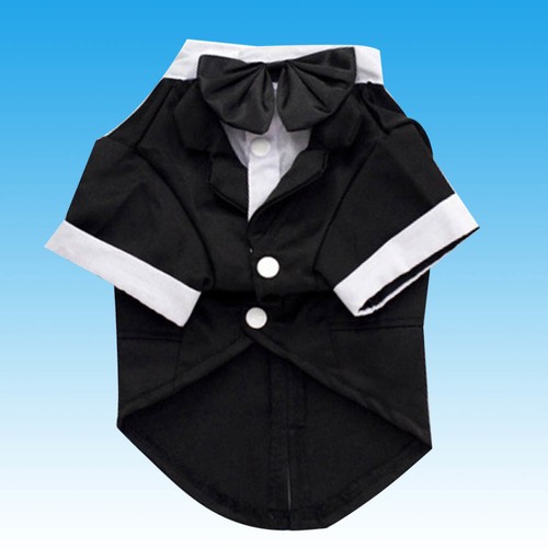 Deguisement chien costume - deguisement, pour