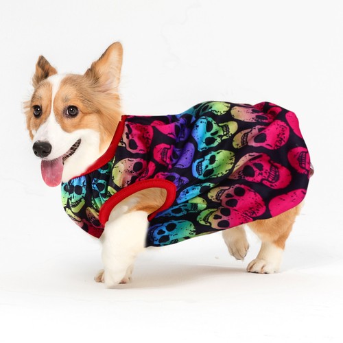 Déguisement chien pull pour - ,