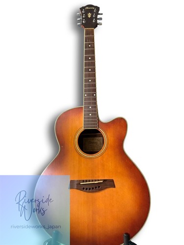 Guitare électrique acoustique