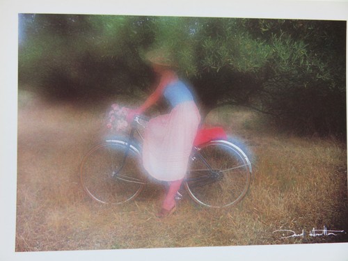 Carte postale david - postale,