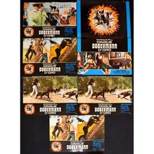 Fotobustes DOBERMAN Chien Byron Chudnow Fred Astaire Eden Carter F69