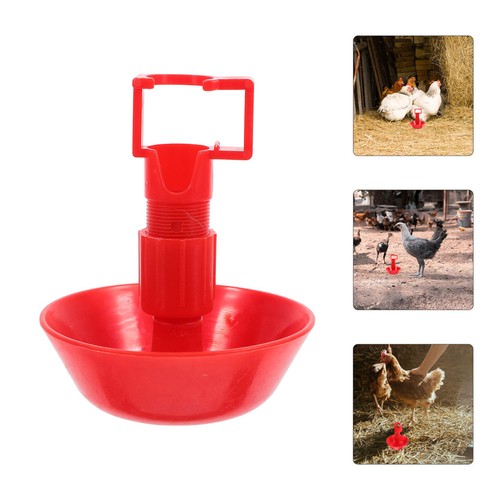 Pcs abreuvoir poule - pcs,
