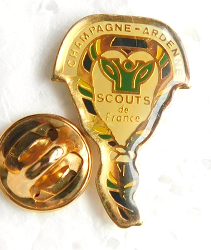 Pin scouts france - pin's,