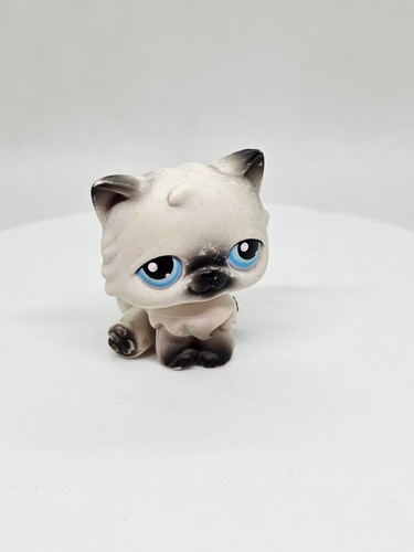 Chat persan lps littlest - lps,