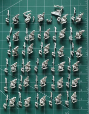 Warhammer  Old world :   30