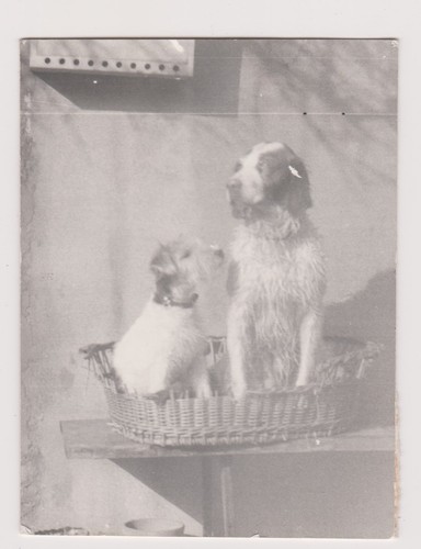 Photo ancienne deux - 🎞️,