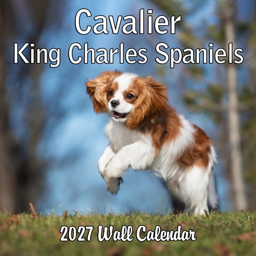 2027 cavalier king charles - 2027,
