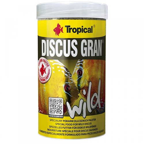 Tropical discus gran - tropical,