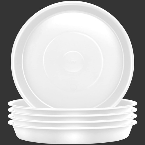 Lot soucoupes pour - lot, de