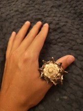 Bague Véritable Coquillage Artisanale Coquille Nature 