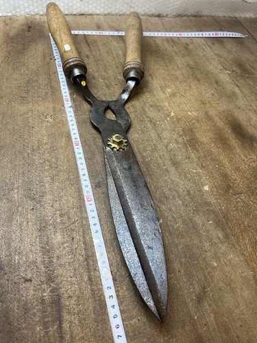Cisaille coupe buis outil - coupe,